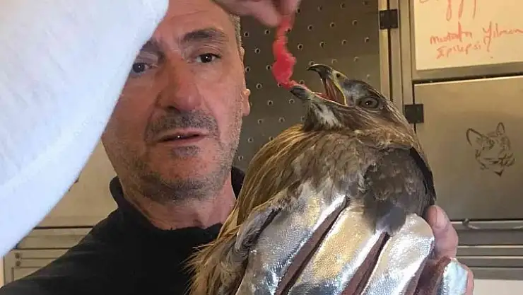 Soğuk hava şahini de vurdu