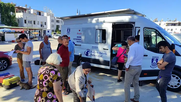 Sokak hayvanlarına yönelik çalışmalar sürüyor