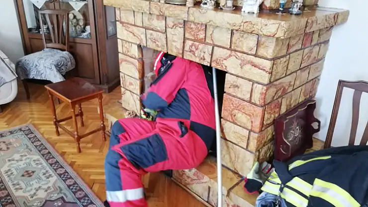 Şömine bacasında mahsur kalan yavru kedi kurtarıldı