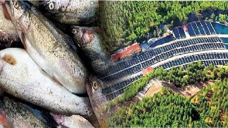 'Sorunlar Organize Olabilirsek Çözülebilir'