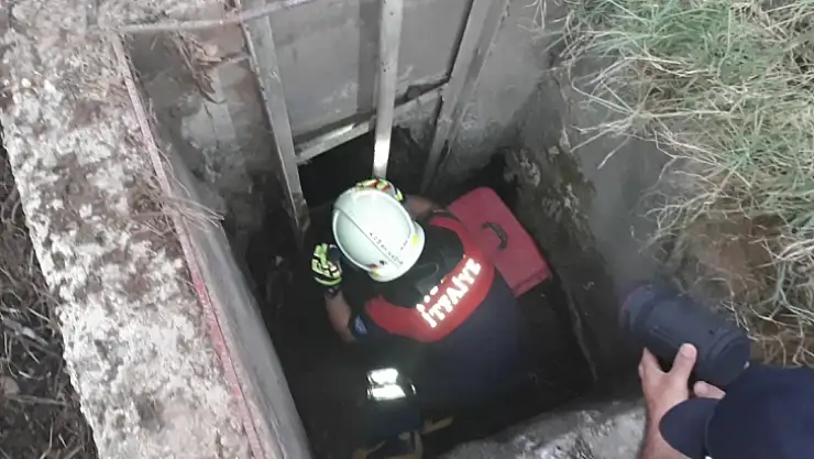 SU KANALINDA MAHSUR KALAN KÖPEK VE YAVRULARI KURTARILDI