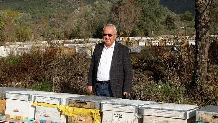 TAB Başkanı Şahin'den 'arı ürünleri' uyarısı