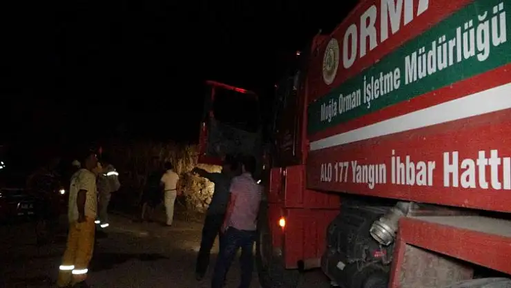 Tarım arazisinde çıkan yangın büyümeden söndürüldü