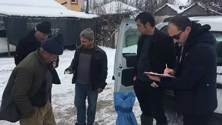 Tarla faresi mücadelesi başladı