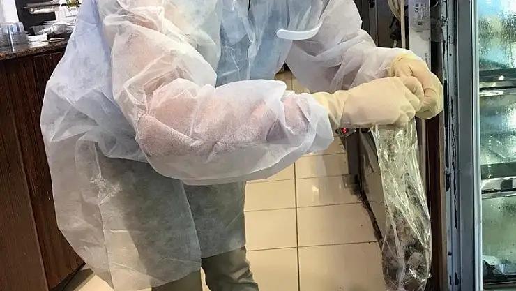 TARLADAN, AHIRDAN, DENİZDEN, HAVUZDAN SOFRAYA GÜVENİLİR GIDAYA