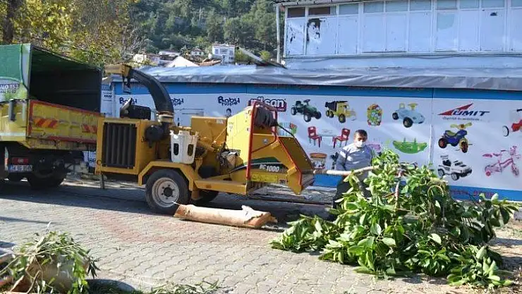 Tehlike oluşturan ağaçlar budanıyor