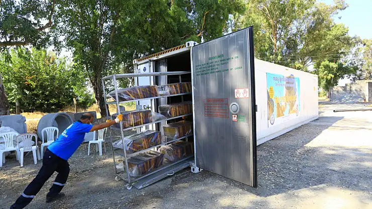 'Temiz Petek Projesi' Türkiye'de ilk ve tek