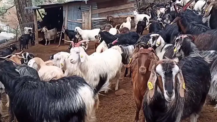 TESPİT VE GÜNCELLEME ÇALIŞMALARI DEVAM EDİYOR