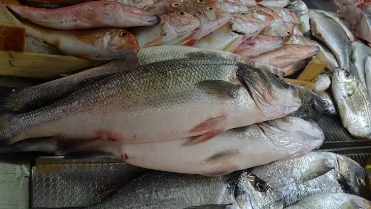 Tezgâhlarda Balık Bolluğu