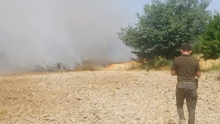 Ula'da ziraat arazisinde yangın