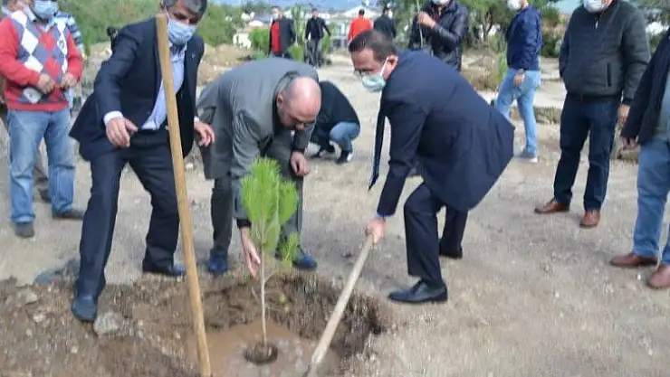 Ülkücüler Fethiye'de Başbuğ Alparslan Türkeş Hatıra Ormanı oluşturdu