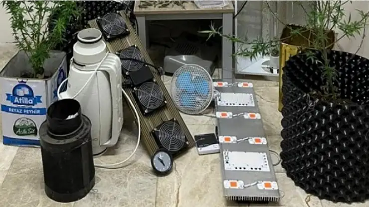 UYUŞTURUCU OPERASYONU: 5 TUTUKLAMA