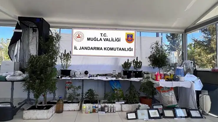 Uyuşturucu operasyonu düzenlendi