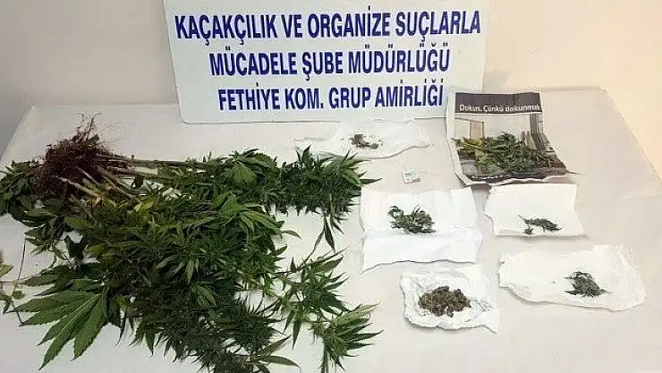 Uyuşturucu Şebekesinden 12 Kişi Tutuklandı