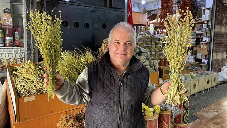 Uzmanından bitkisel çay önerisi