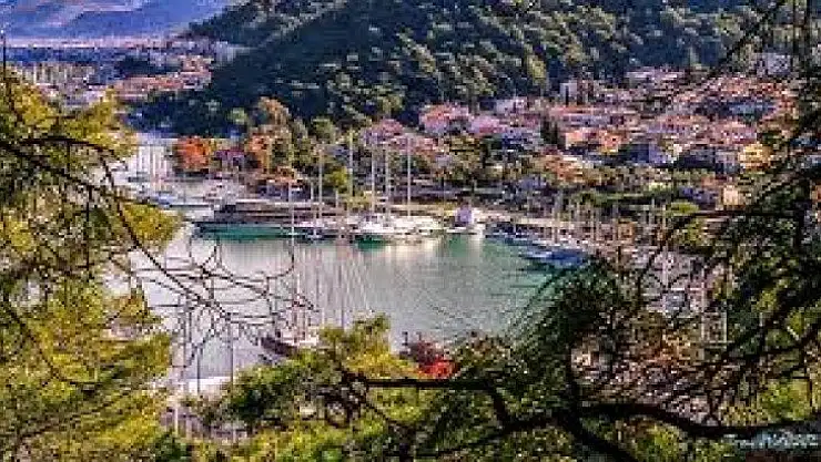 Vaka sayıları tekrar tırmanışa geçti