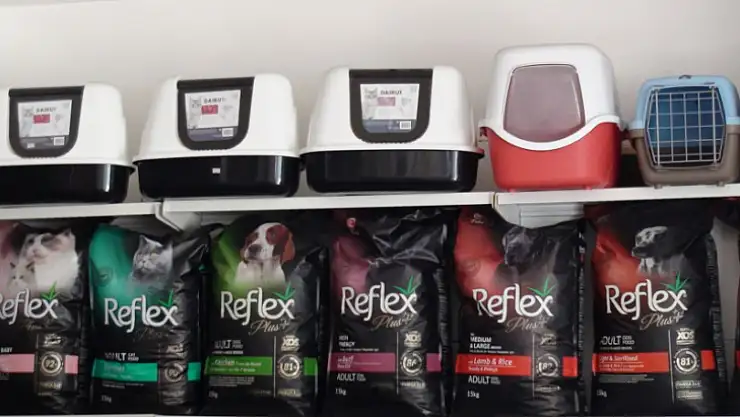 VETERİNER TANIR,''TATİLCİLER YAZIN ALDIKLARI HAYVANLARI TATİLLERİ BİTİNCE SOKAĞA BIRAKIYORLAR''