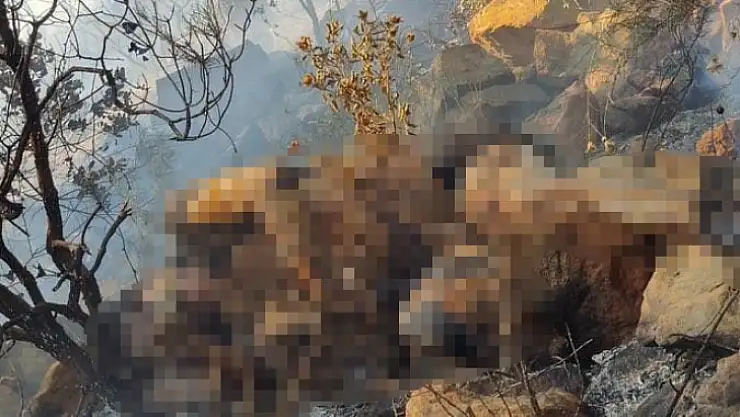 Yanan alanda erkek cesedi bulundu