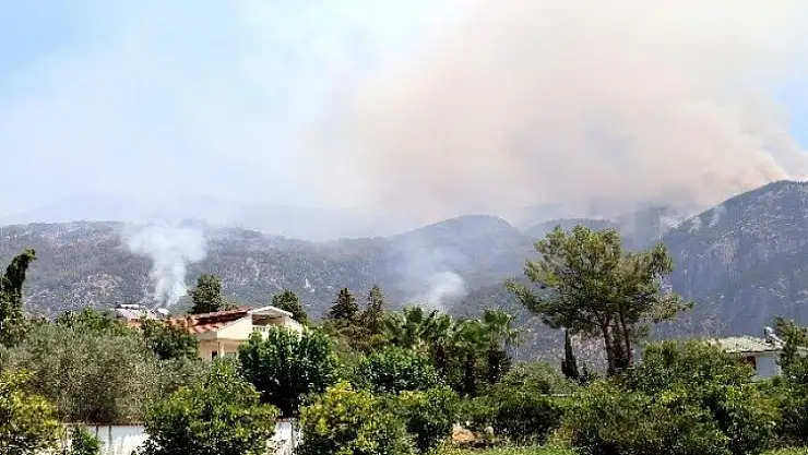 Yangın alanları afet bölgesi ilan edildi