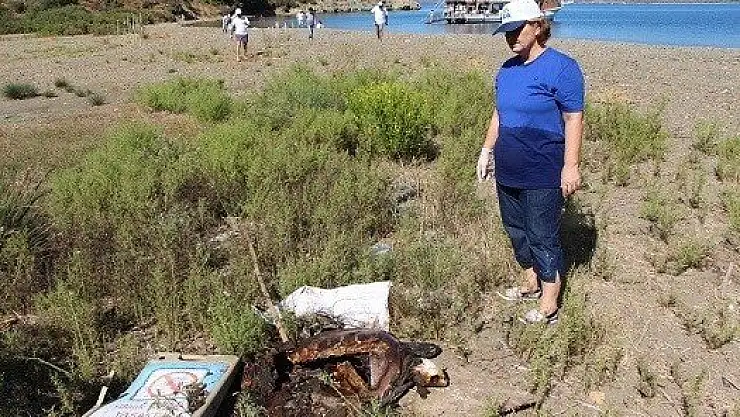 Yanmış Caretta Yürekleri Burktu