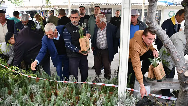Yatağan'da gelir getirici fidan dağıtımı