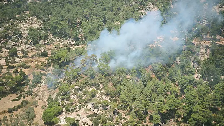 Yatağan'da Orman Yangını