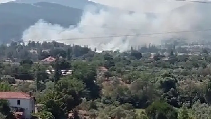 Yatağan'da sazlık alanda yangın