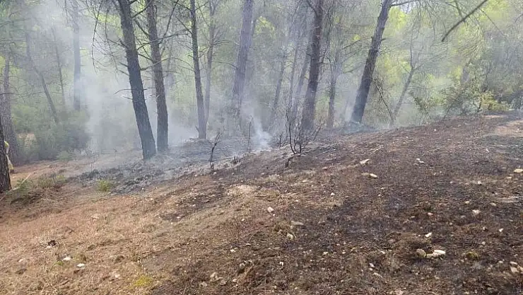 Yatağan'da yıldırım kaynaklı çıkan orman yangın söndürüldü