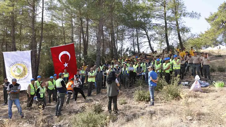 YATAĞAN, MİLAS VE KAVAKLIDERE İŞLETME MÜDÜRLÜKLERİNİN SİLVİKÜLTÜR TATBİKATI YAPILDI