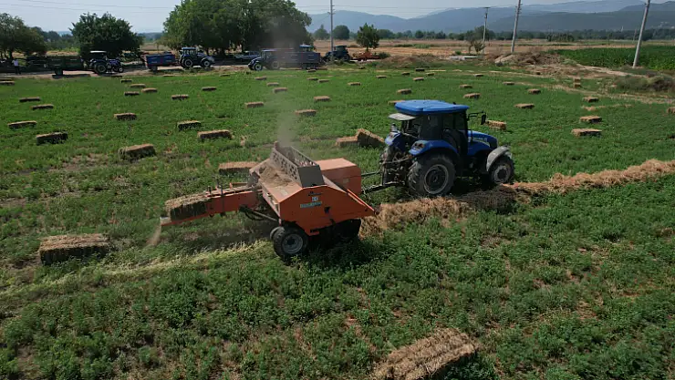 Yem Bitkisi Hasadını Tamamladı