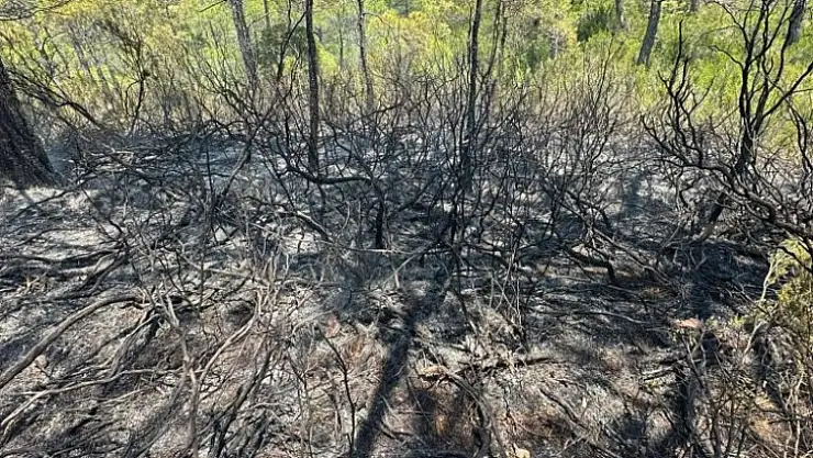 Yıldırım düşmesi sonucu çıkan orman yangını söndürüldü