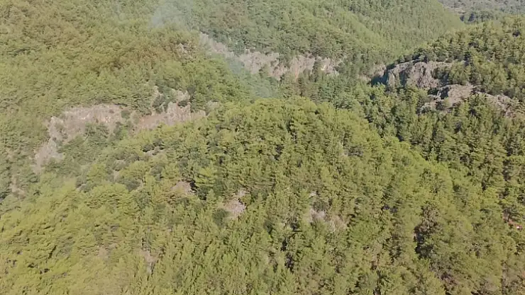 YILDIRIM DÜŞTÜ ORMAN YANDI!