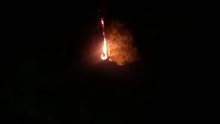 YILDIRIM ORMAN YANGINI YARATTI