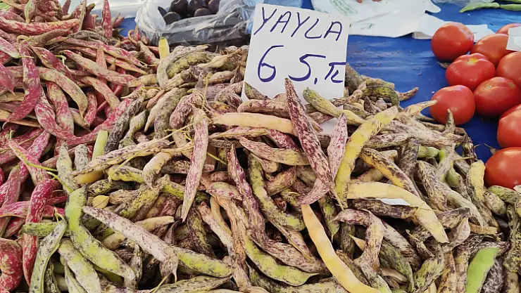 Zam Şampiyonu Beyaz Barbunya