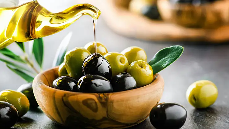 Zeytinyağı kalite yarışması başvuruları başladı