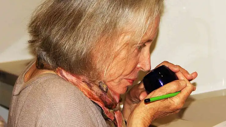 Zeytinyağı tadım eğitimleri yeniden başlıyor