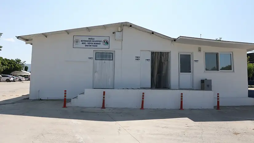 Büyükşehir Can Dostları Unutmuyor: 42 Ton Mama Üretildi