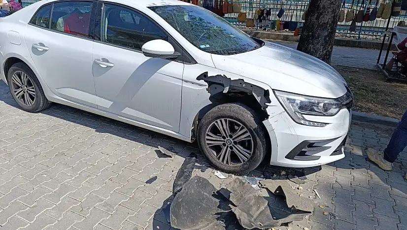 Fethiye'de Domuz Alarmı, Otomobile Saldırdılar