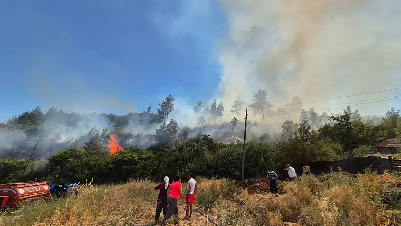 Muğla Menteşe'de orman yangını!