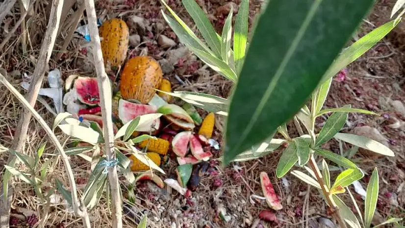 Sigara İzmariti Kötü Görüntüye Sebep Oluyor