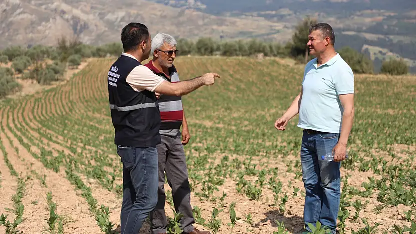 Büyükşehir, Dolu Felaketinin Yaralarını Üreticiyle Birlikte Sarıyor