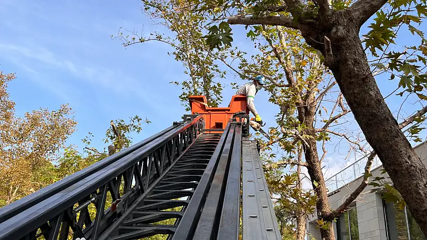Fethiye Belediyesi Ağaç Budama Çalışmalarına Başladı