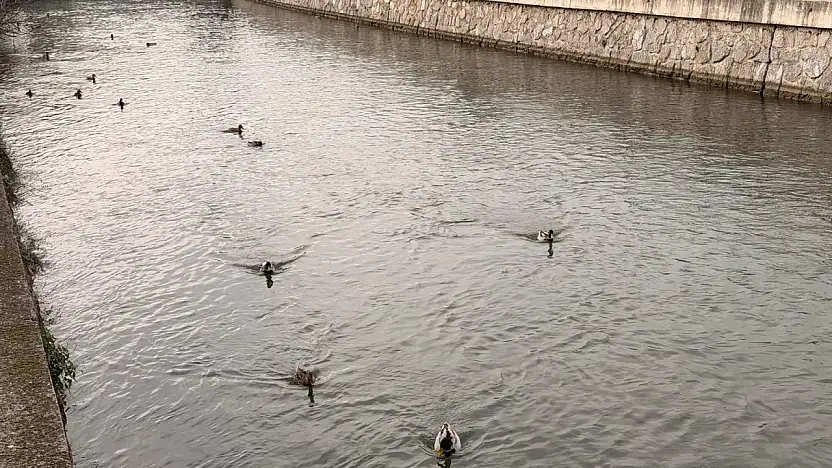 Fethiye'de kanalda renkli görüntüler