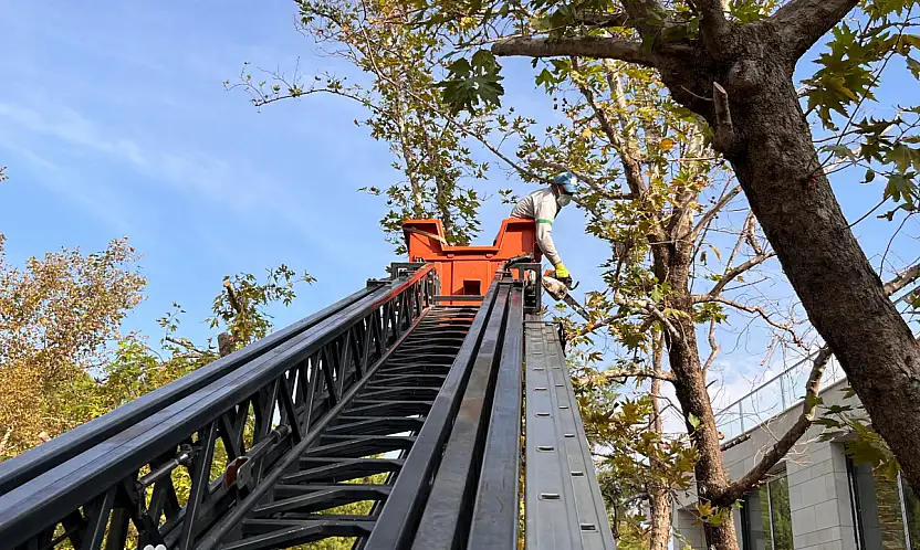 Fethiye Belediyesi Ağaç Budama Çalışmalarına Başladı