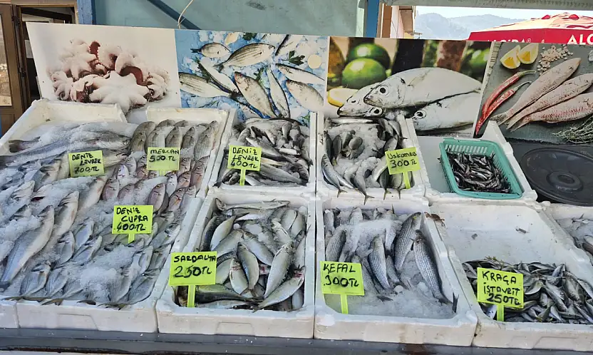 Fethiye Patlangıç Pazarı'nda taze balık keyfi