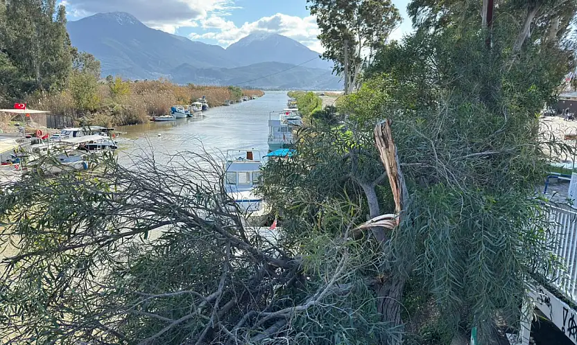 Fırtına etkili oldu: Çalış'ta tabelalar uçtu, ağaçlar kırıldı