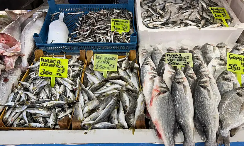 Tezgahlardaki balık fiyatları vatandaşın cebini zorladı