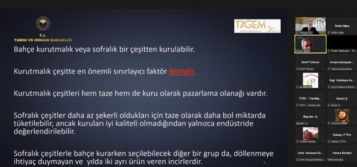 ÜRETİCİLERE, İNCİR YETİŞTİRİCİLİĞİ EĞİTİMİ VERİLDİ