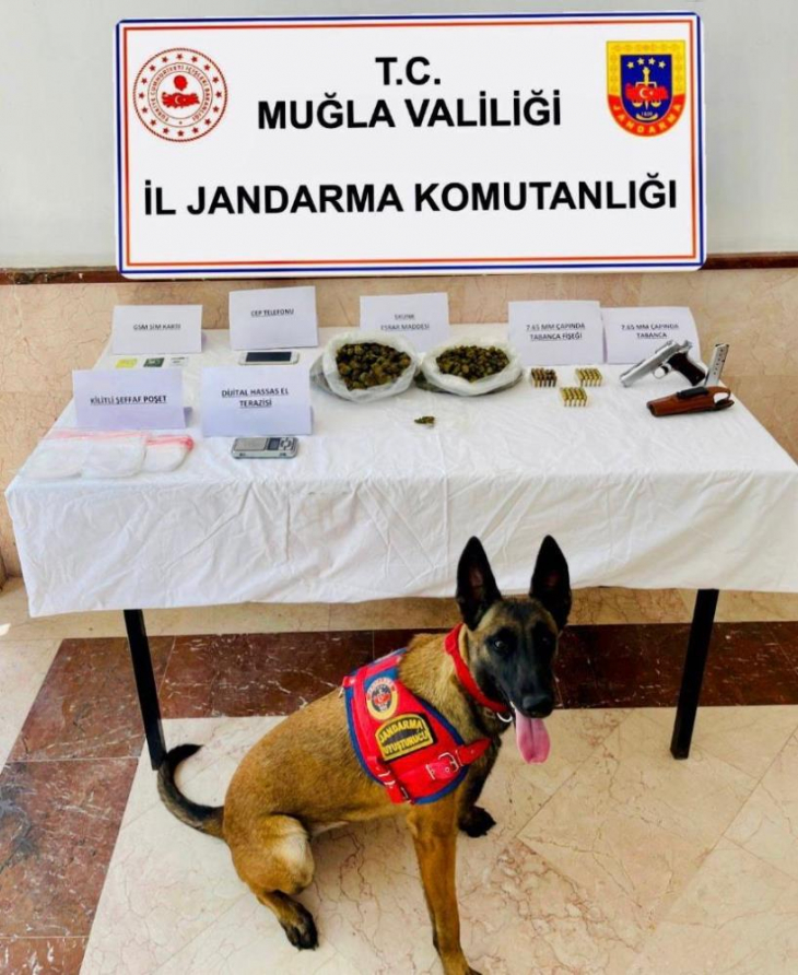 Bodrum'da uyuşturucu ve silah operasyonu