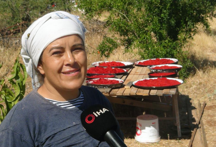 Muğla'da organik salça mevsimi